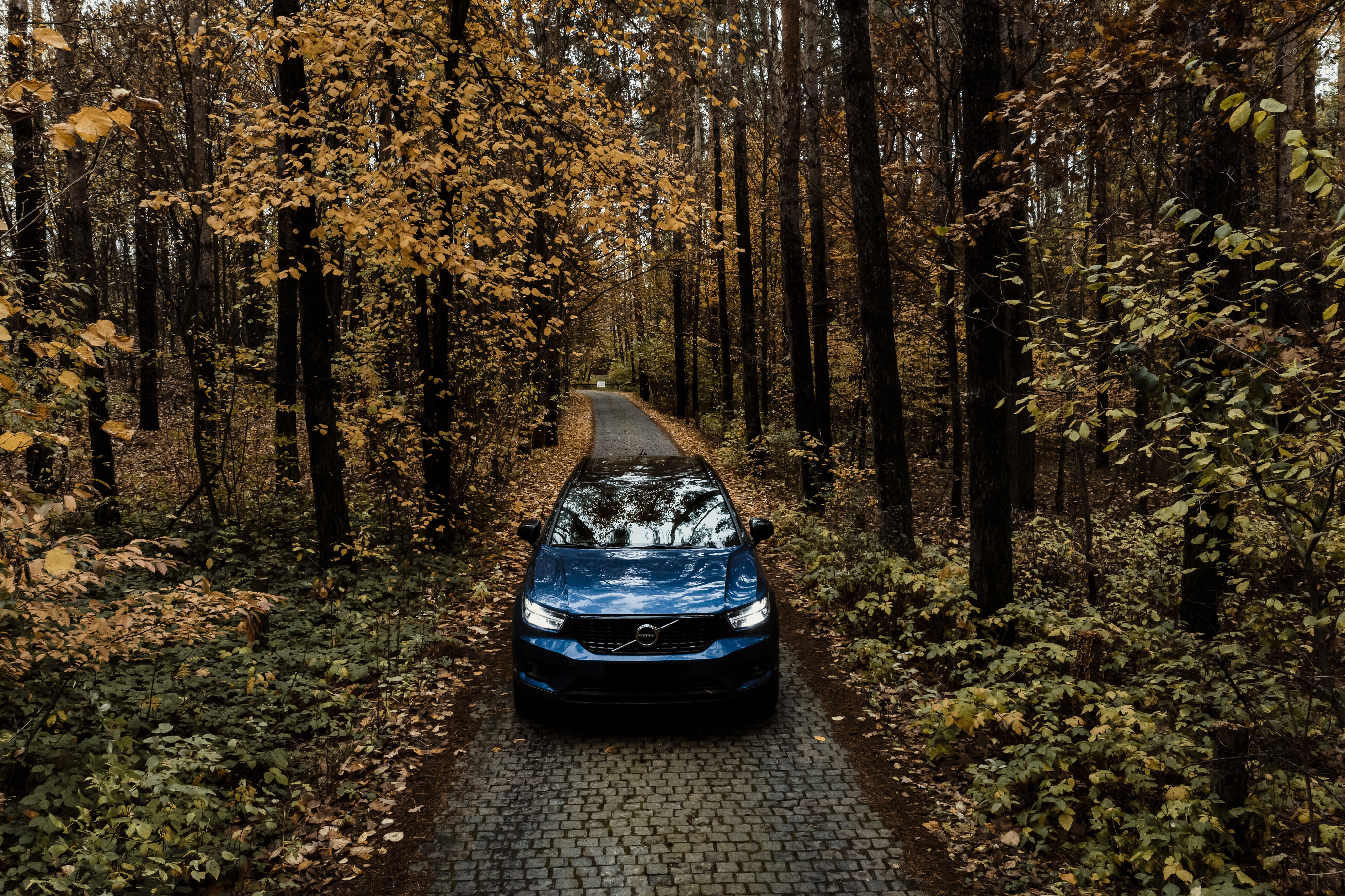 Volvo XC40_Forest_2